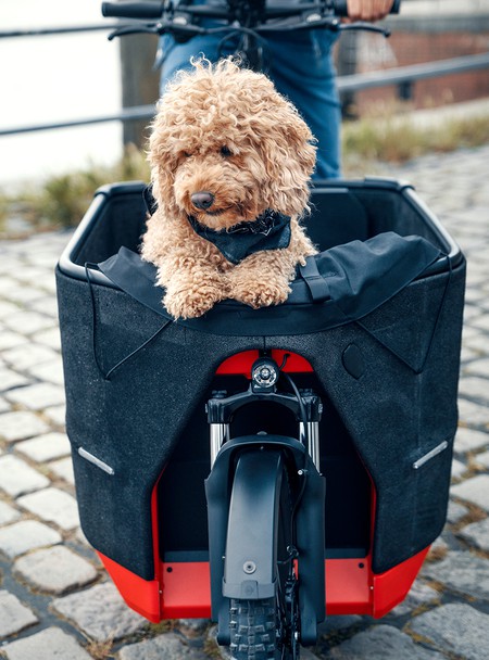 Même si vous n'avez pas de petit caniche abricot, vous avez le droit de rouler en Packster70